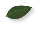 green-leaf